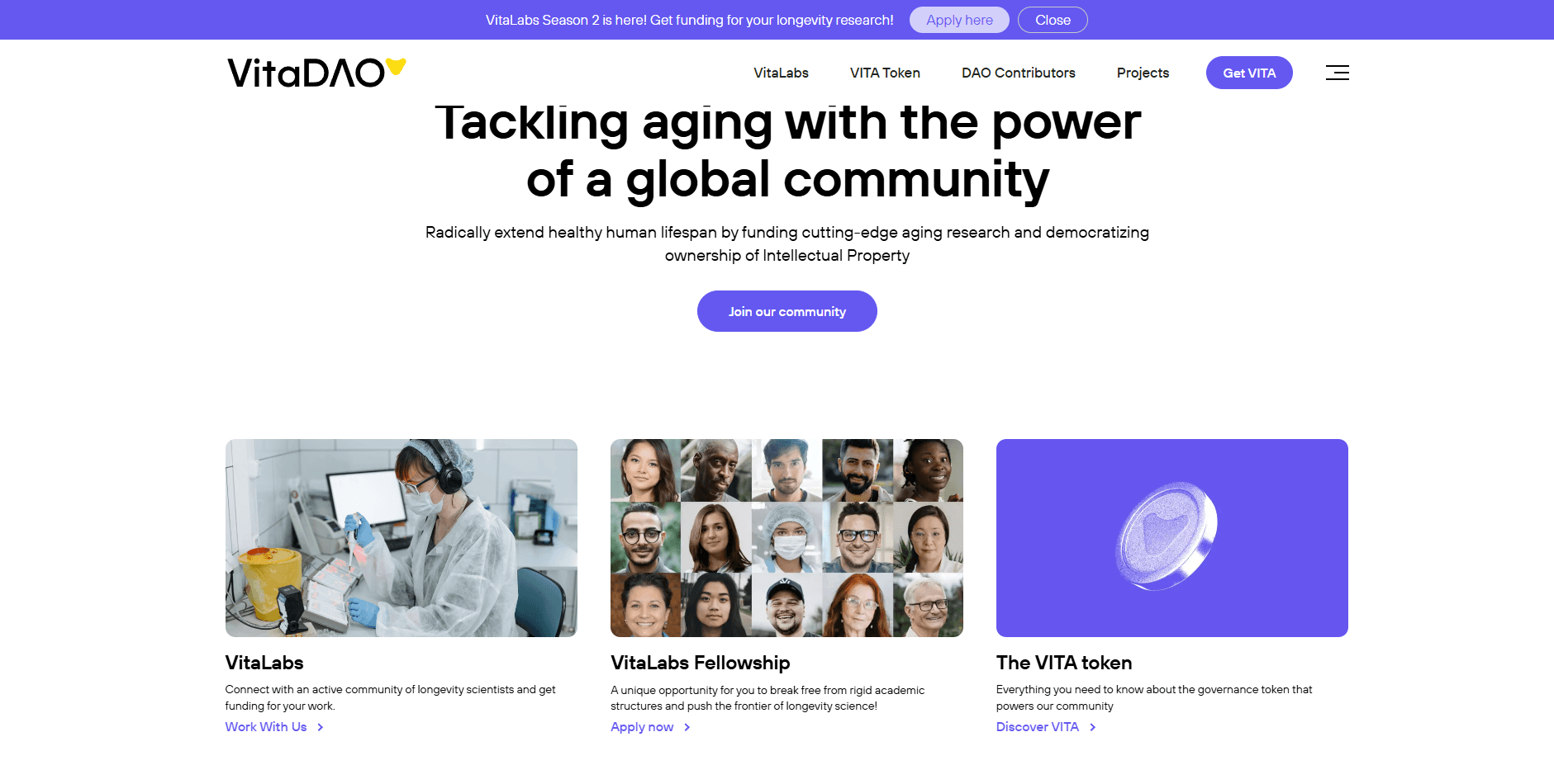 project-VitDao 